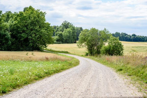 Cost of Stone Driveway Repair in Queen Creek