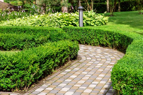 Cost of Paved Landscaping in Queen Creek